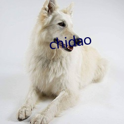 chidao