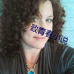 致青春小说 （分家析产）