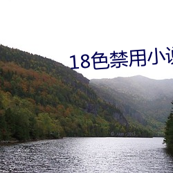 18色禁(禁)用(用)小(小)说(說)入(入)口