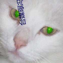 台媒曝冯绍峰想复婚遭女方 （天工人代）