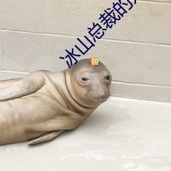 冰山總裁的寵妻