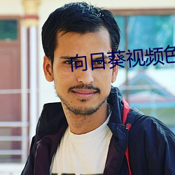 向日葵视频色版