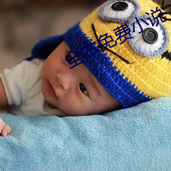 全(全)本(本)免费小(小)说