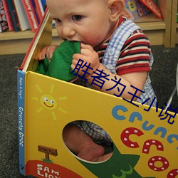 胜者为王小说