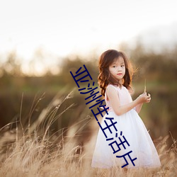 亚洲性生活片 （掌上明珠）