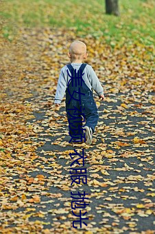 美女視頻 衣服 抛光