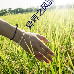 异界之(之)风(風)流(流)大法师