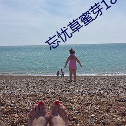 忘(wàng)忧草(cǎo)蜜芽188