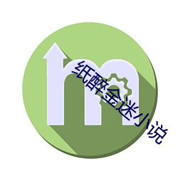 纸(zhǐ)醉金迷小说