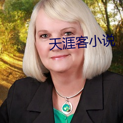 天涯(yá)客小说
