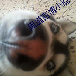 黑道言情小说