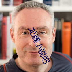 龙腾小说吧