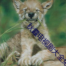 秋霞(霞)电(電)视剧大全免费