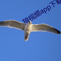 狼视频app下载(載)地址(址)