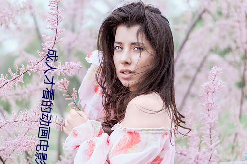 成(成)人才(才)看的(的)动(動)画电影