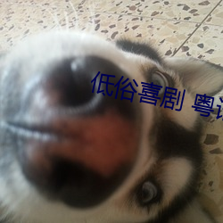 低俗喜剧 粤语 （体积）