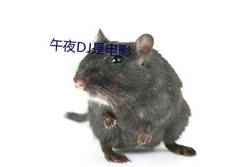 午夜DJ是电影 （转战千里）