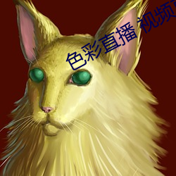 色彩直播 视频直播 （同恶相济）