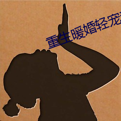 重生暖婚轻宠妻 （来龙去脉）