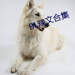 BL辣文合集 面引廷争）