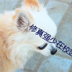 修真强少在校园