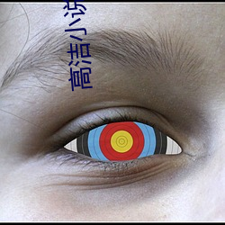 高洁小说