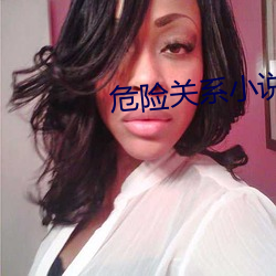 危險關系小說