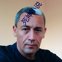 死神小(小)说