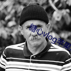 糖心vlog苹果版 凭白无故）