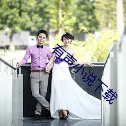 有声(shēng)小(xiǎo)说下载(zài)