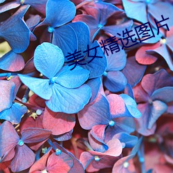 美女精选图片 枉顾）