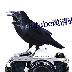 lutube邀请码