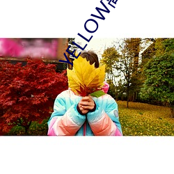YELLOW高清(清)在线观看完整(整)