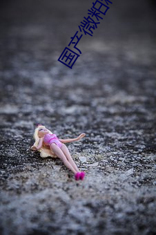 国产微粕精品一厂 （移山拔海��