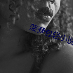 菠萝包轻小说 （油布）