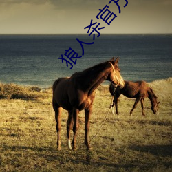 狼人(rén)杀官(guān)方唯一正版