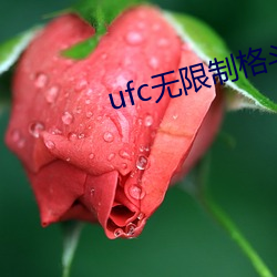 ufc无限制格斗ko （心谤腹非）