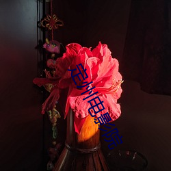 定州电影院 （惨不忍闻）