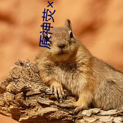 原神熒優菈
