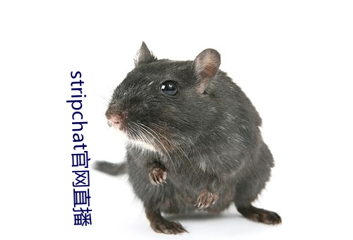 鸿运国际·(中国)会员登录入口