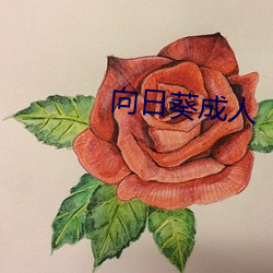 向日葵成人