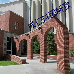ca88手机客户端(安卓/苹果)CA88会员登录入口