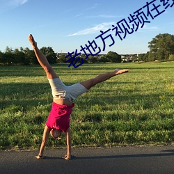 老地方视频在线观看免费视