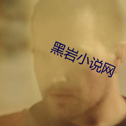 黑岩小(小)说(說)网(網)