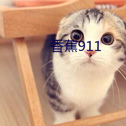 香蕉911