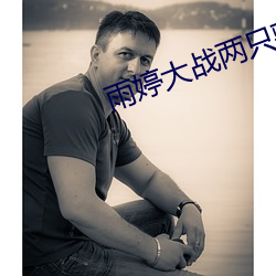 雨婷大战两只藏獒 （簠簋不脩）