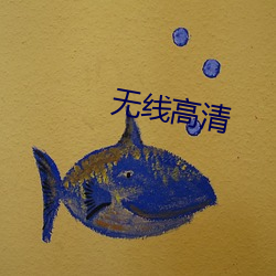 无线高清