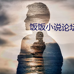 饭(飯)饭小说论坛(壇)