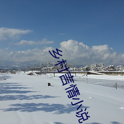 乡村(村)言(言)情(情)小说(說)