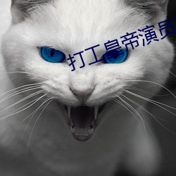 打工皇帝演员表